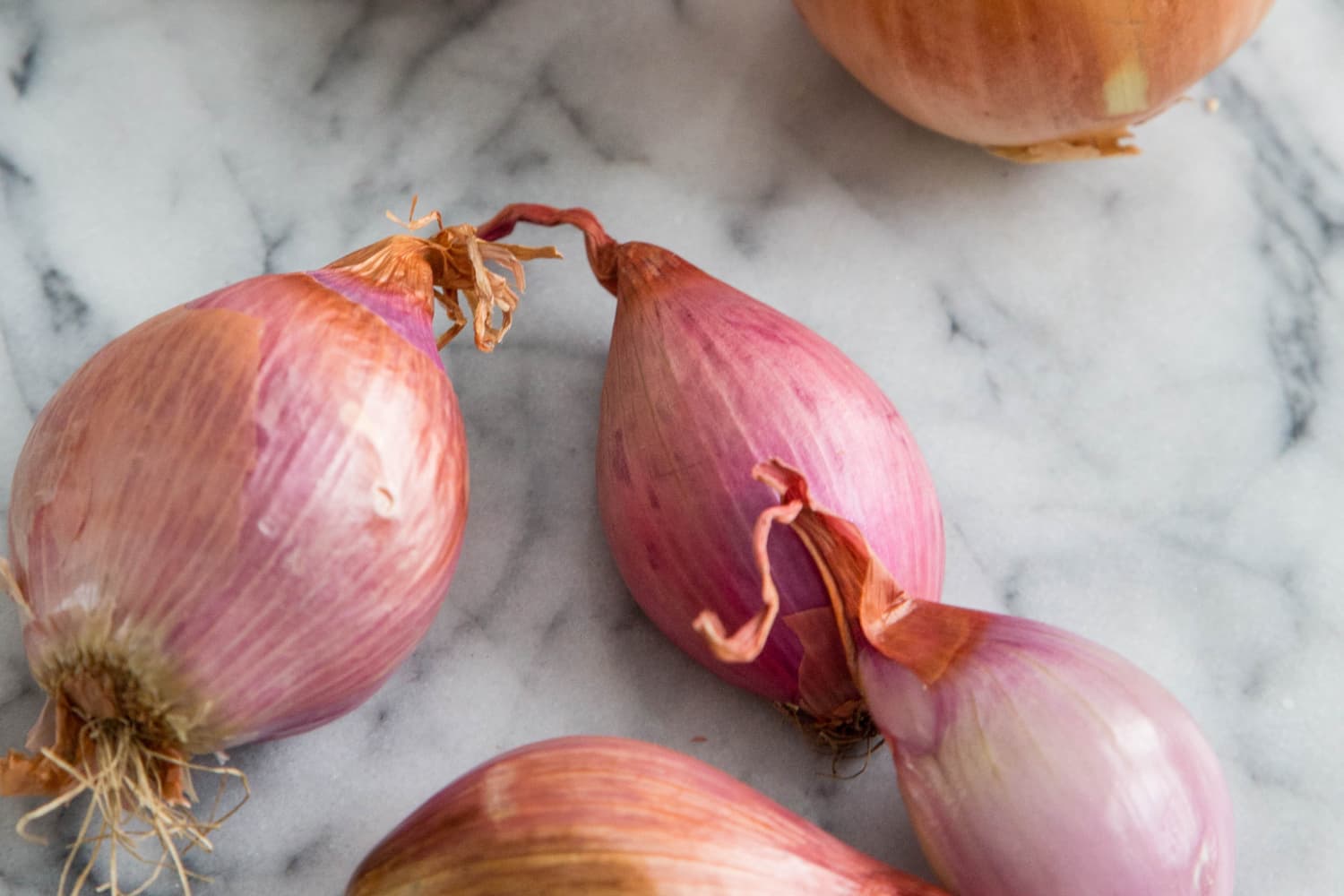 How to Swap Shallots for Onions - The Kitchn
