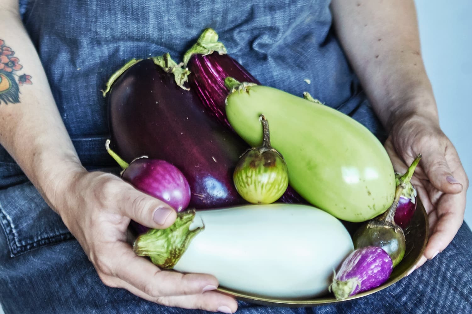 Guide to Different Eggplant Varieties | Kitchn