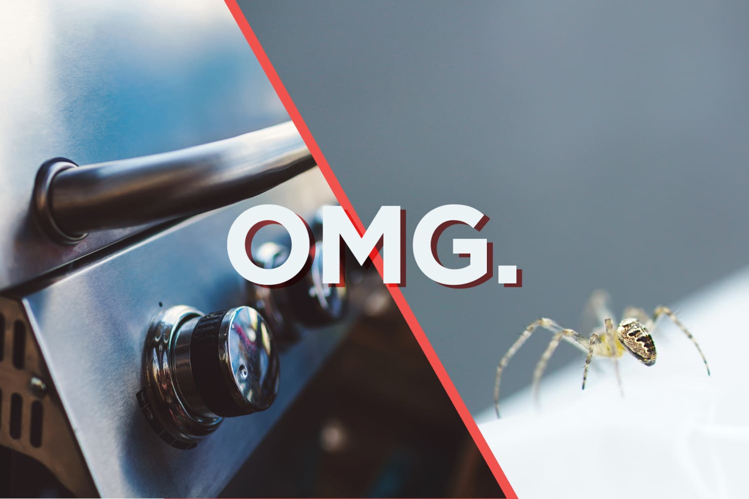 The Creepy Reason Your Gas Grill May Be Getting Hard To Light Kitchn Spidergrillen bij cafe restaurant de commerce in kruisland! gas grill may be getting hard to light