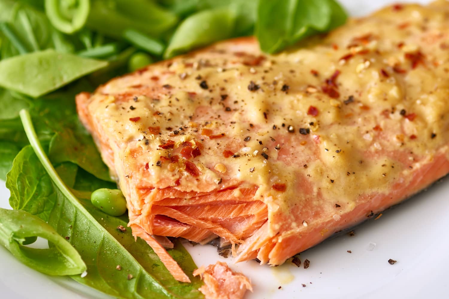 How To Cook Frozen Salmon in the Oven - The Kitchn