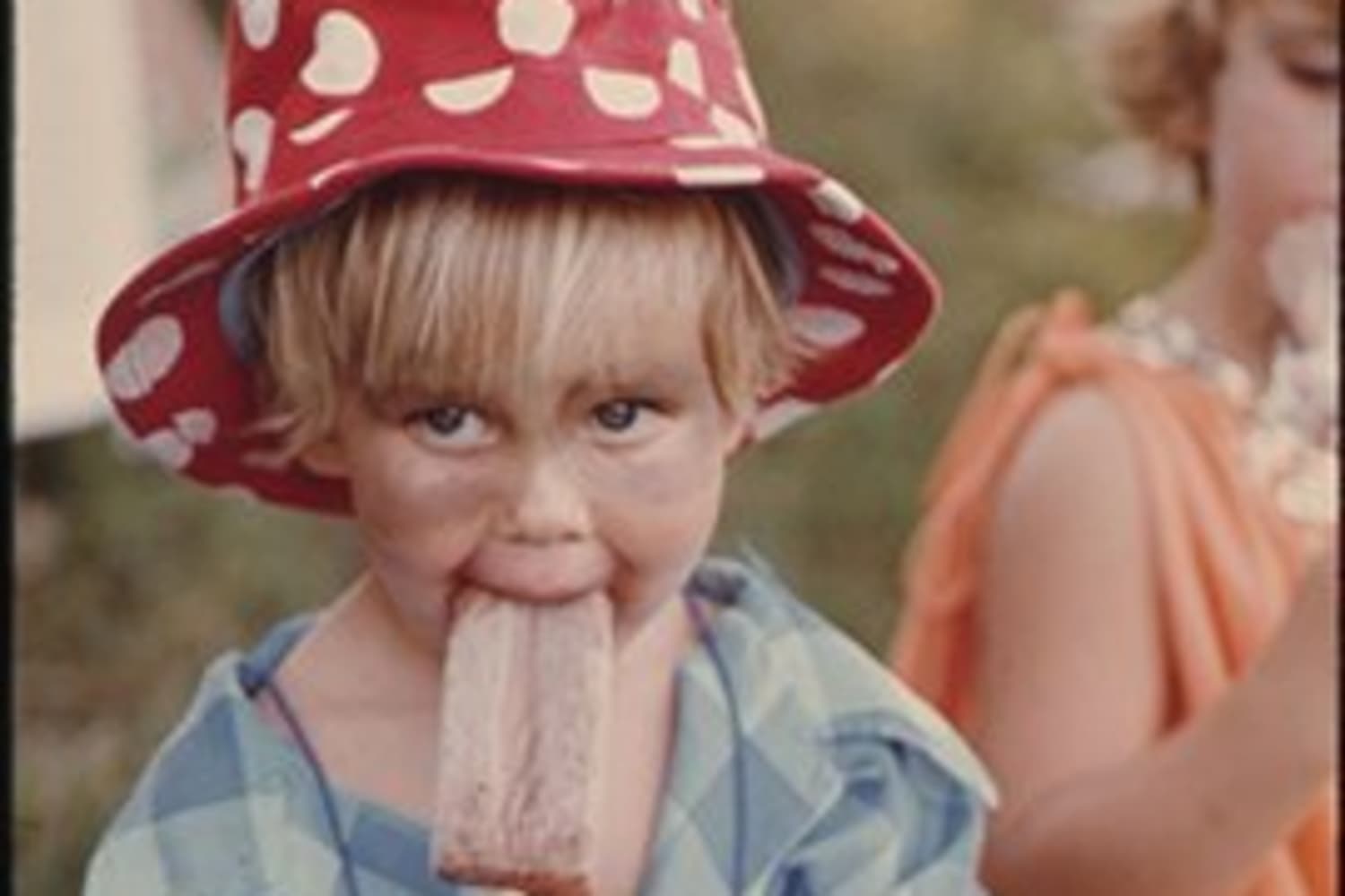 Help Me Find My Favorite Ice Cream Treat from the 1970s ...