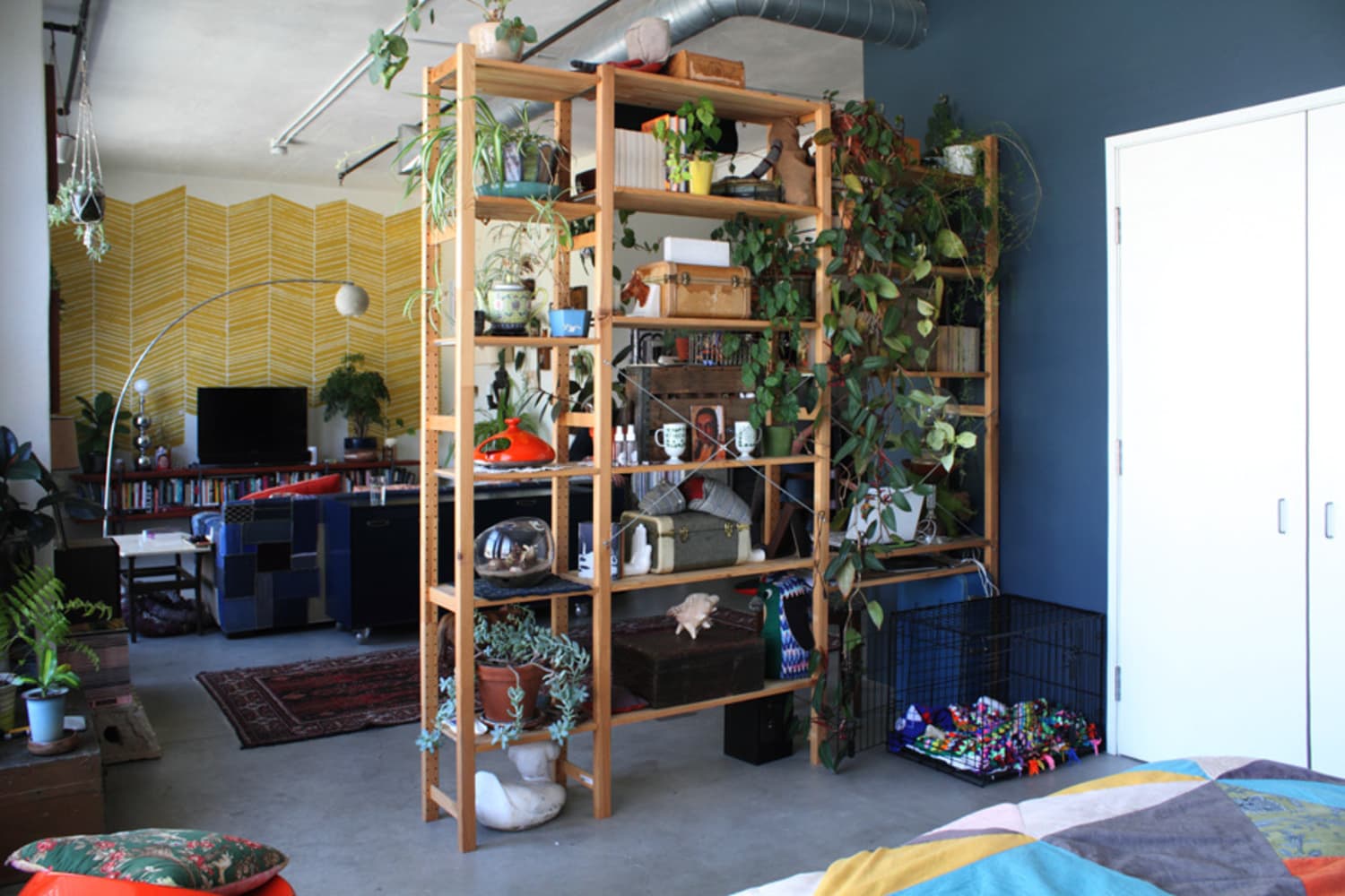8 Best Room Divider Ideas How to Divide a Room Into 2 Apartment Therapy