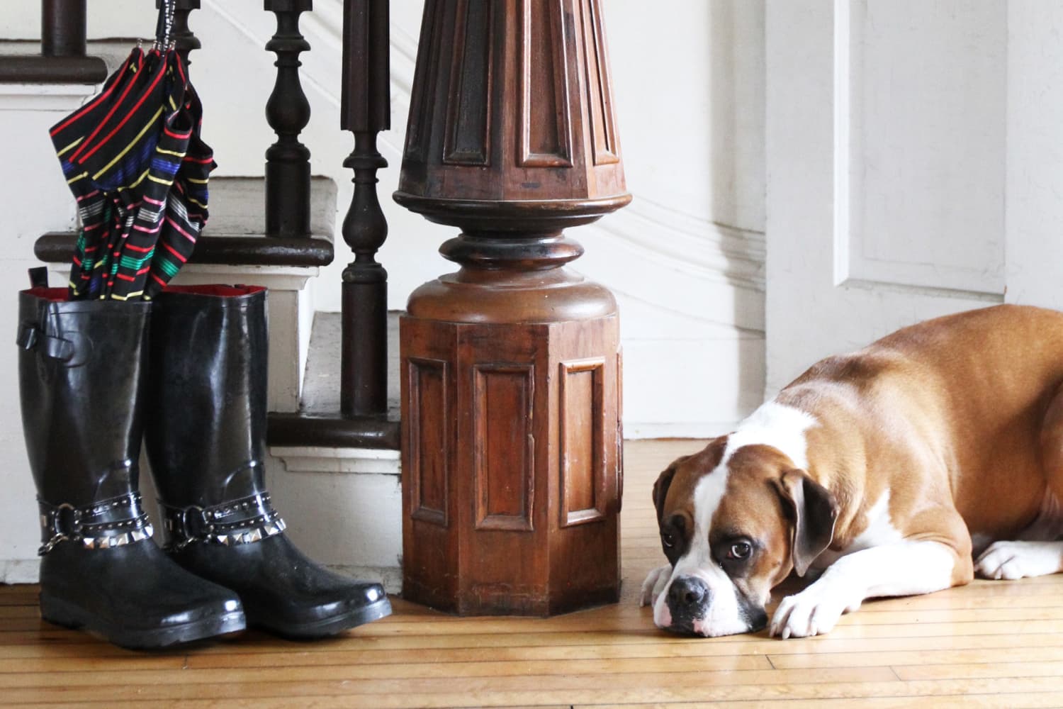 How to Keep Stair Risers Clean Apartment Therapy