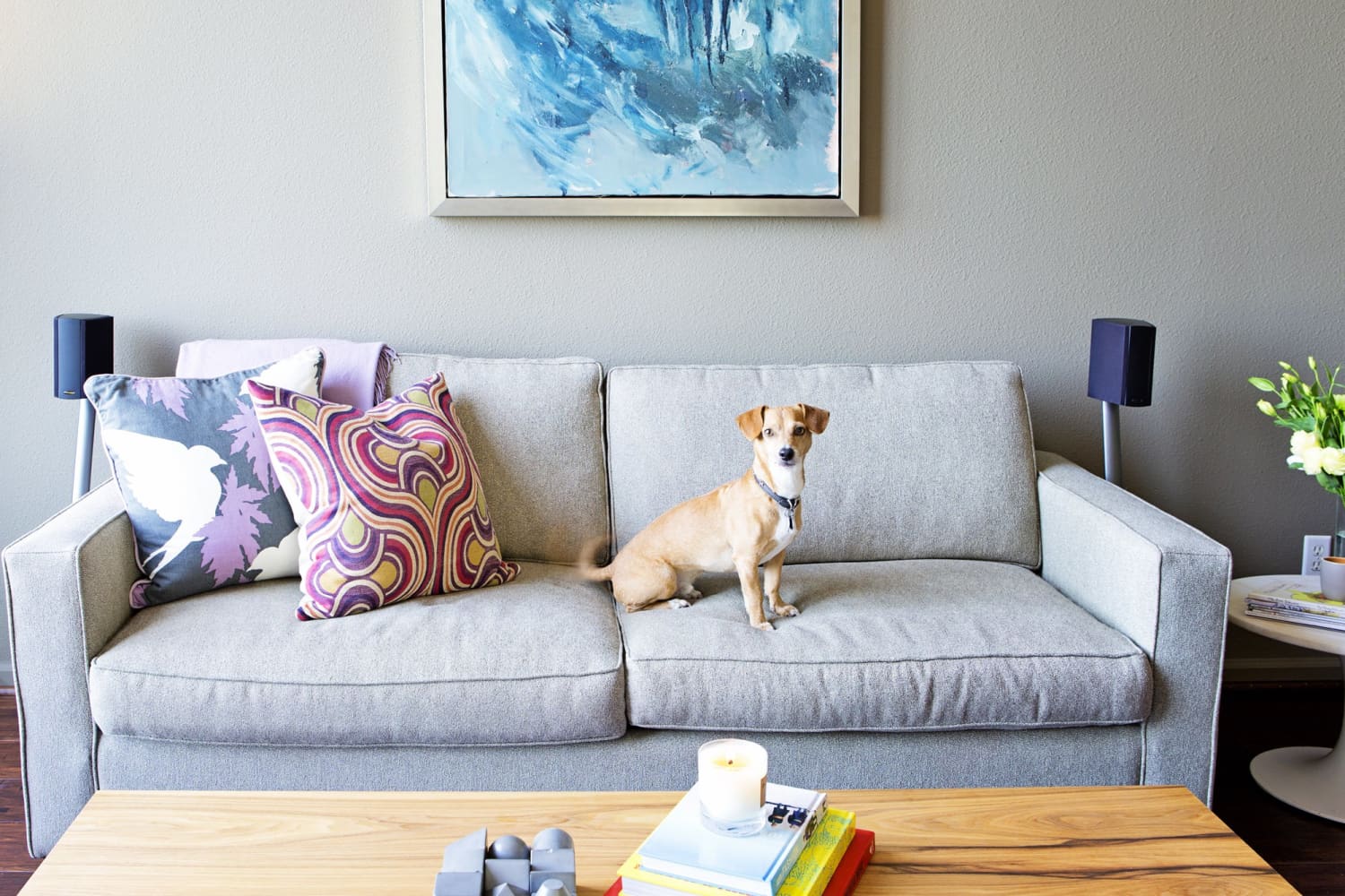 Illustration of Danne Upholt Scandinavian Inexpensive Apartment