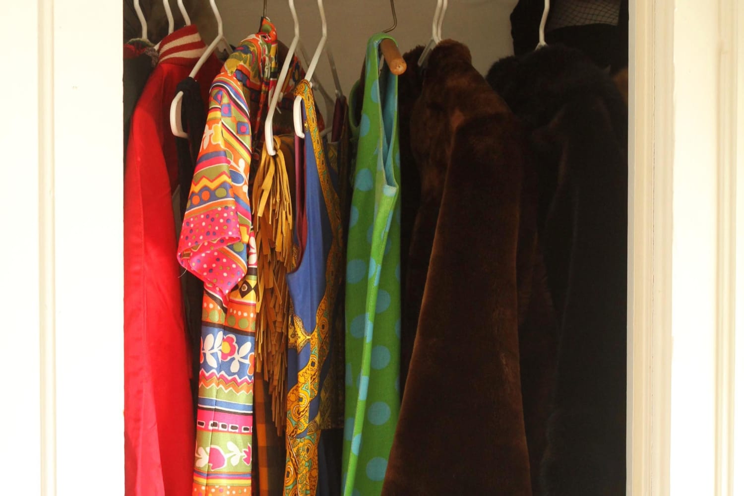 How To Get Rid of Moths (and Prevent Them, too) Apartment Therapy