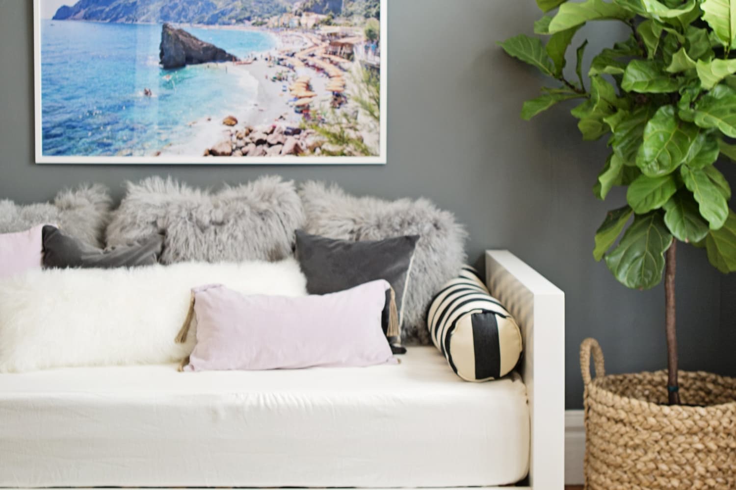 Fiddle Leaf Fig Success Apartment Therapy