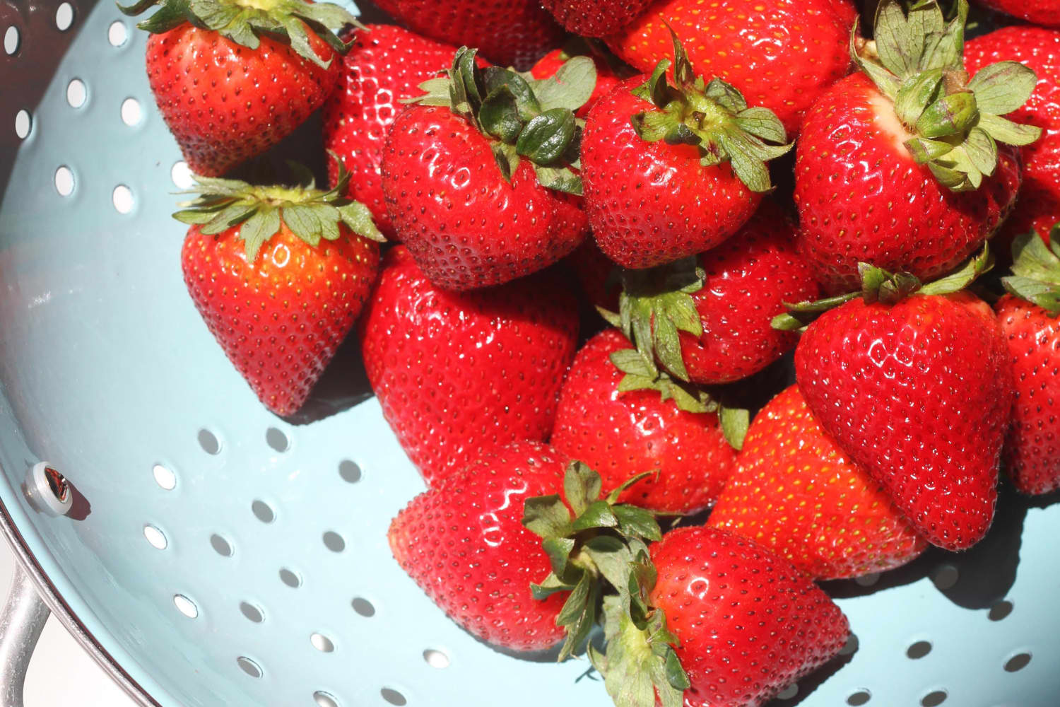 How To Grow Strawberries Apartment Therapy