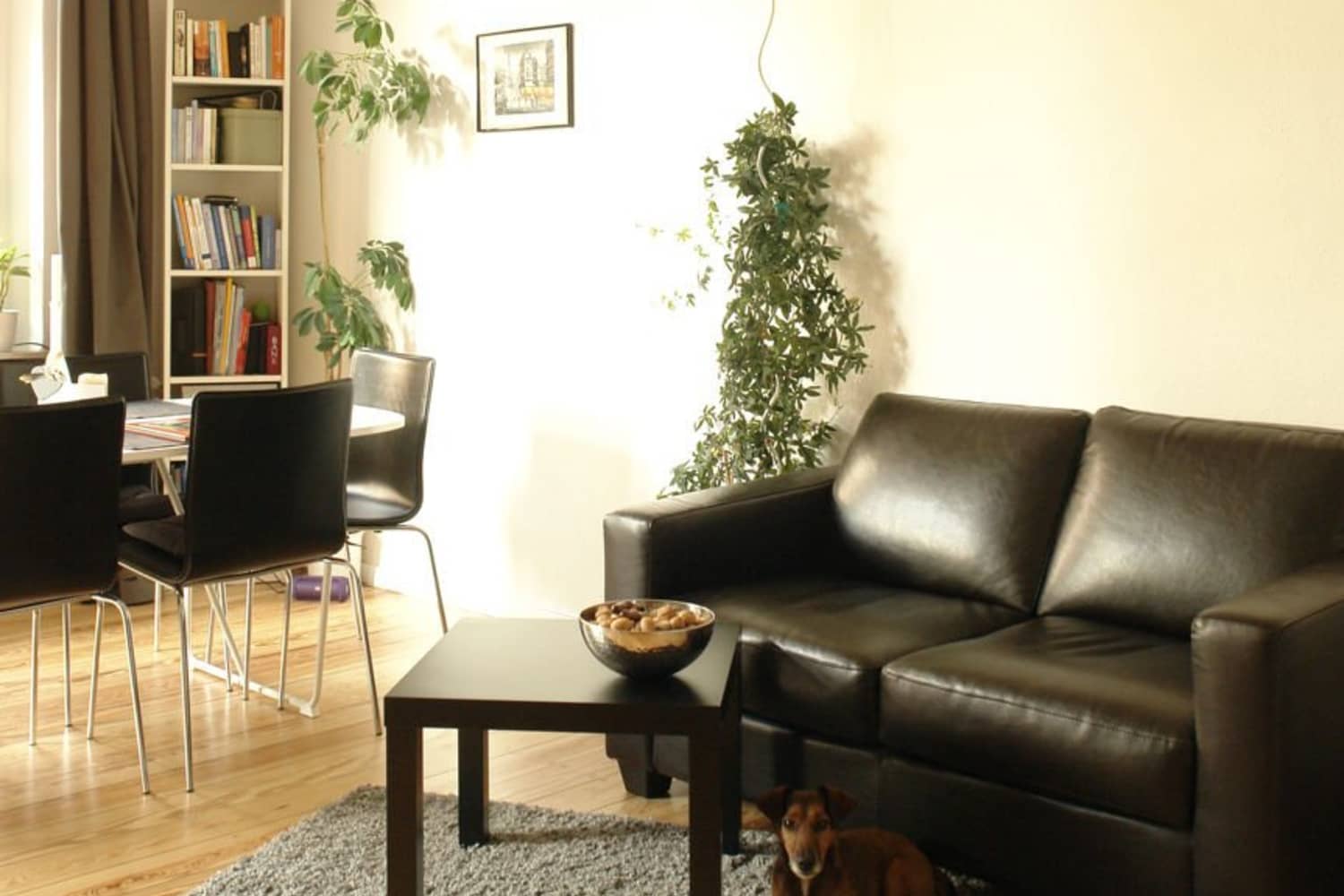 House Tour A Sunny Studio Apartment in Berlin Apartment Therapy