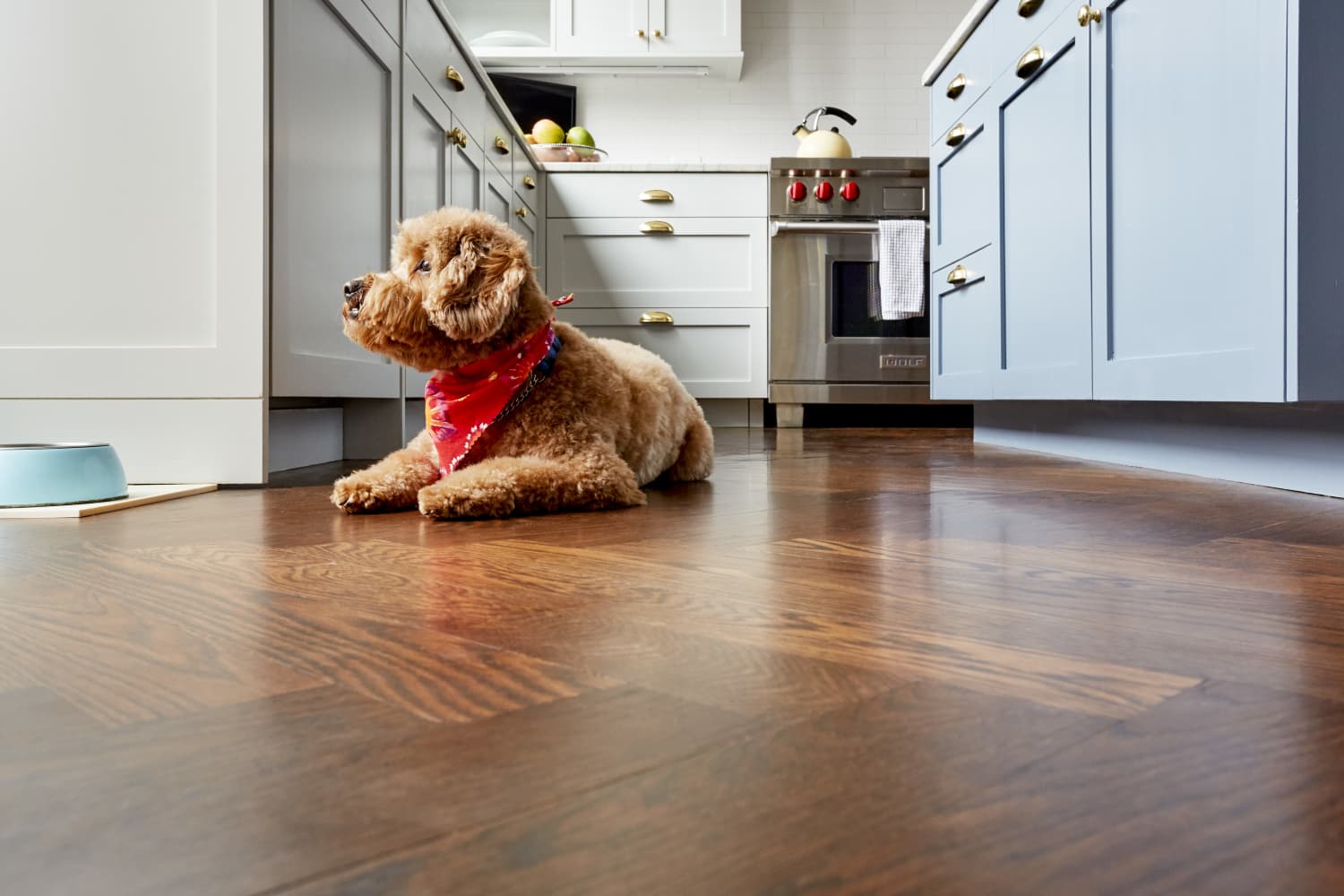 How To Clean Your Hardwood Floors Year Round A Quick Guide for Parents