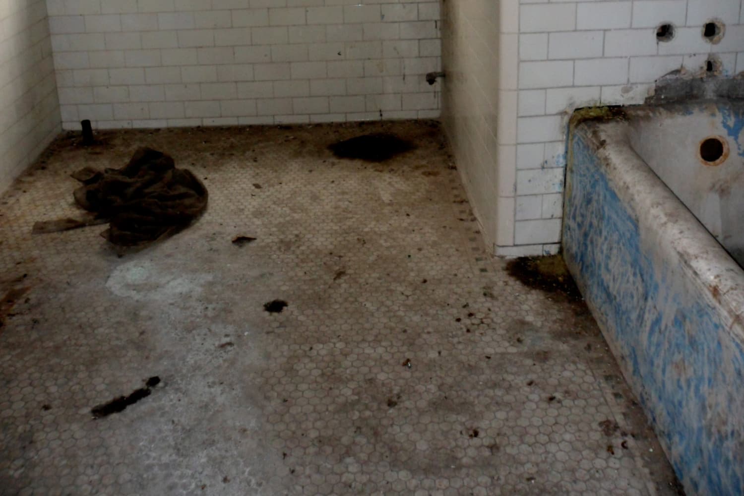 Image showcasing A Gorgeous Bathroom Remodel After 30 Years of Neglect | Apartment Therapy