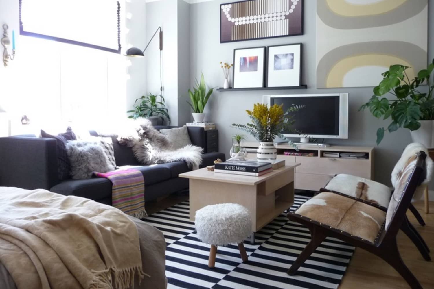 5 Genius Ideas For How to Layout Furniture in a Studio Apartment