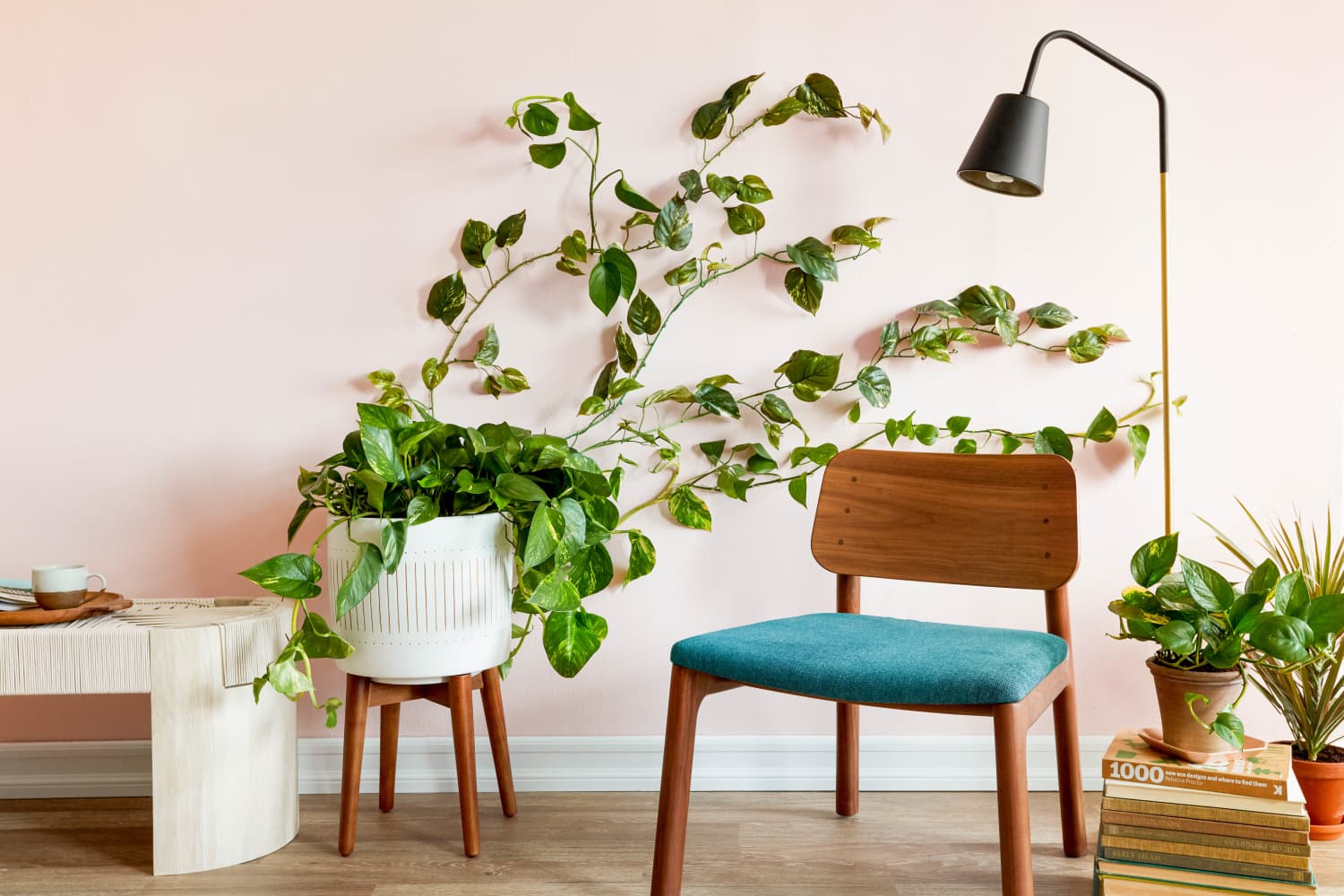 The Easiest Way to Make a Living Greenery Wall | Apartment Therapy