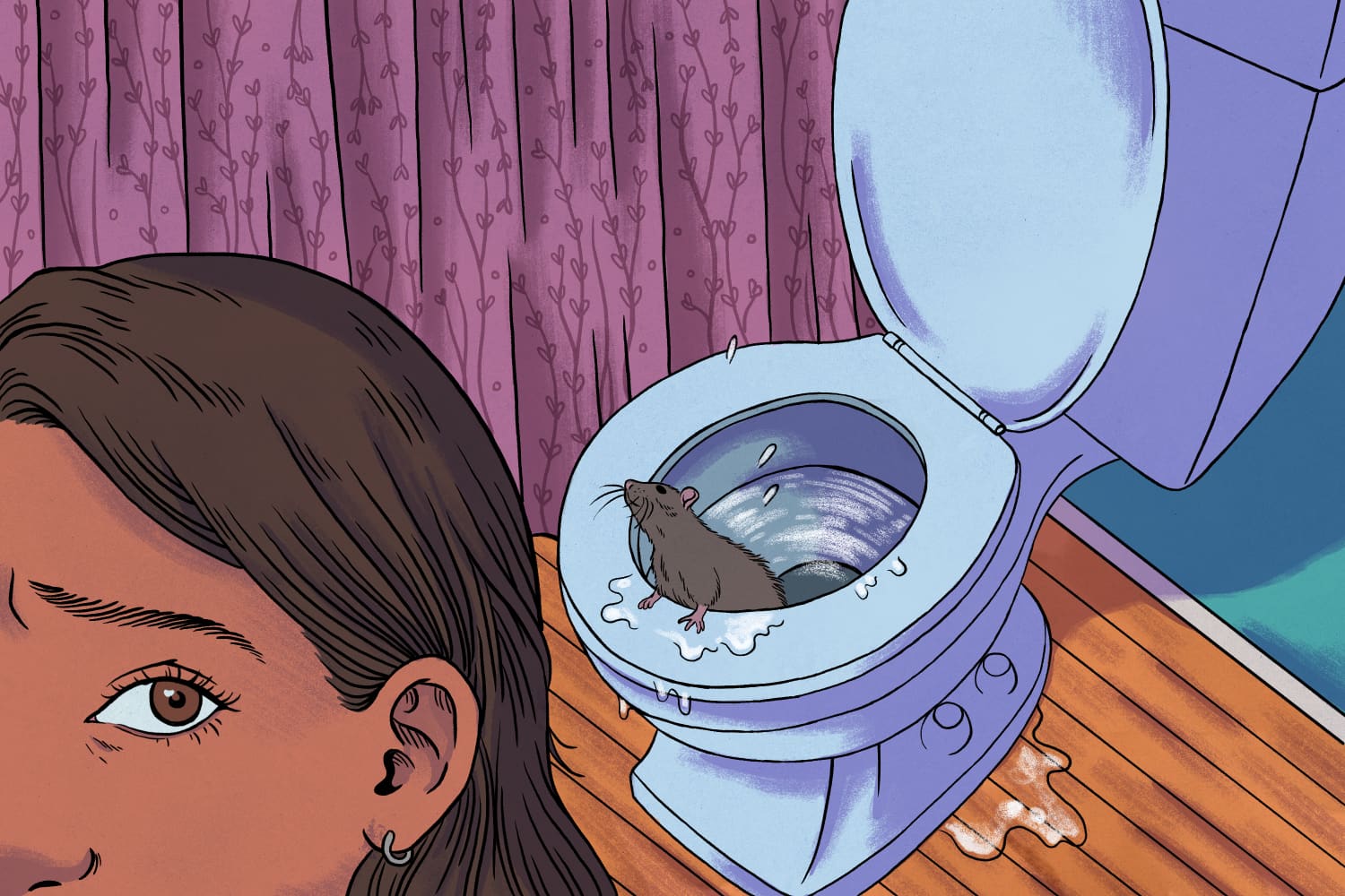 The Truth Behind Urban Legends (Or Can a Rat Really Crawl Up My Toilet