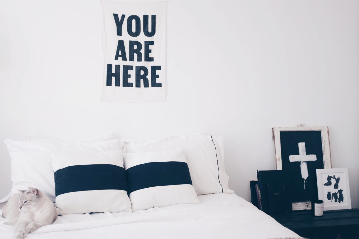 Two Cats & One Creative Make a Home in a Brooklyn Apartment Apartment Therapy