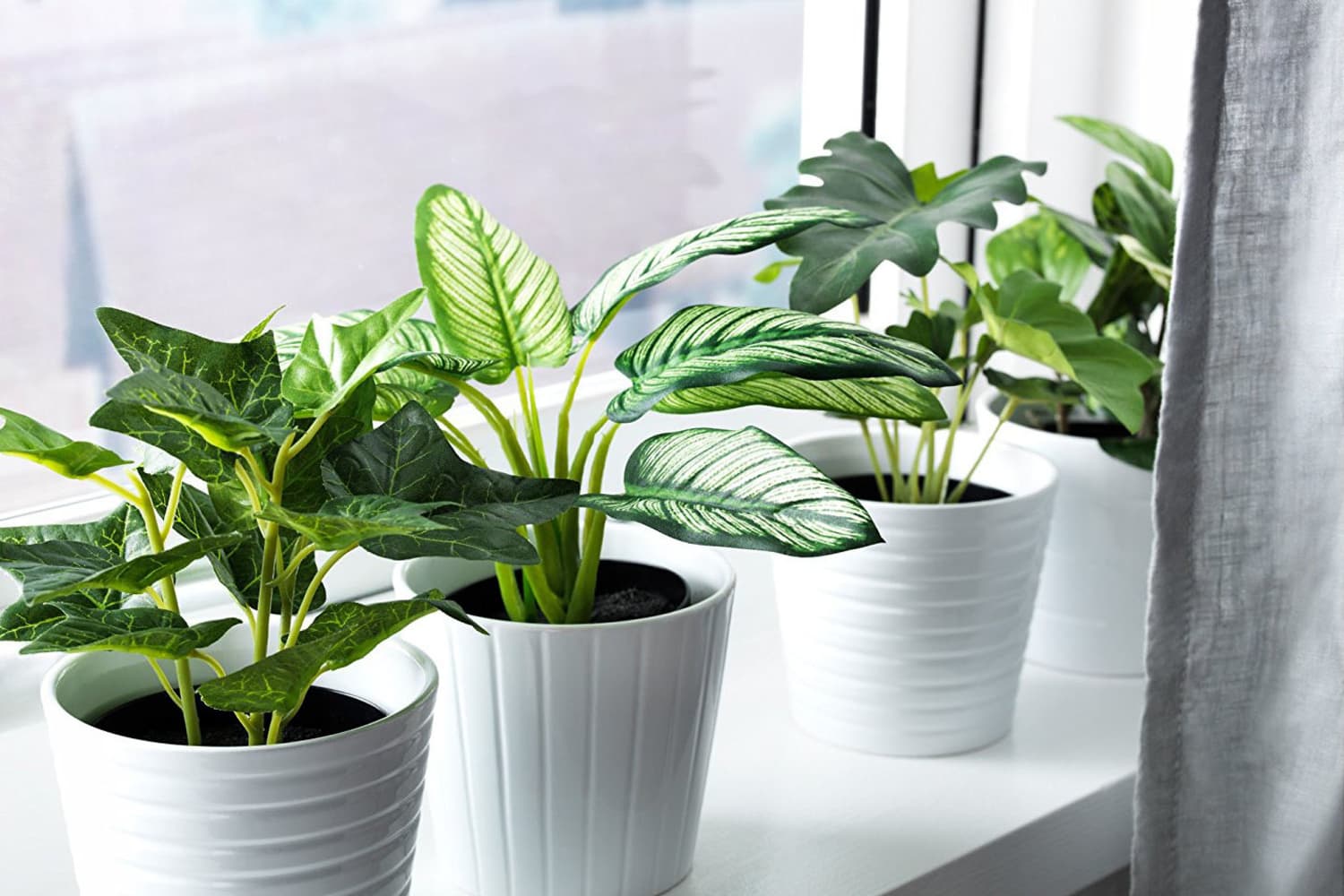 How To Pick The Best Fake Plants A Faux Plant Buying Guide 2021   E661af627b8761fe658e98b5379b416e705be7e0 