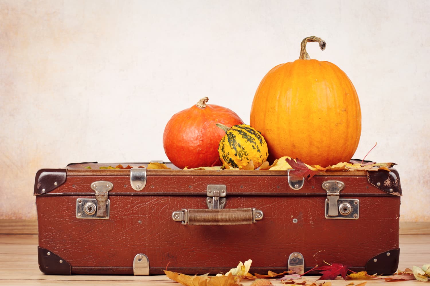 The Best Time to Book Thanksgiving Travel to Save Money Apartment Therapy