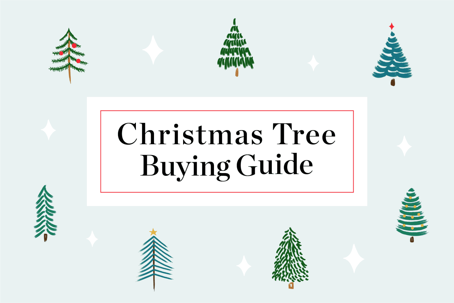 Buying A Christmas Tree Guide Christmas Tree Types Apartment Therapy
