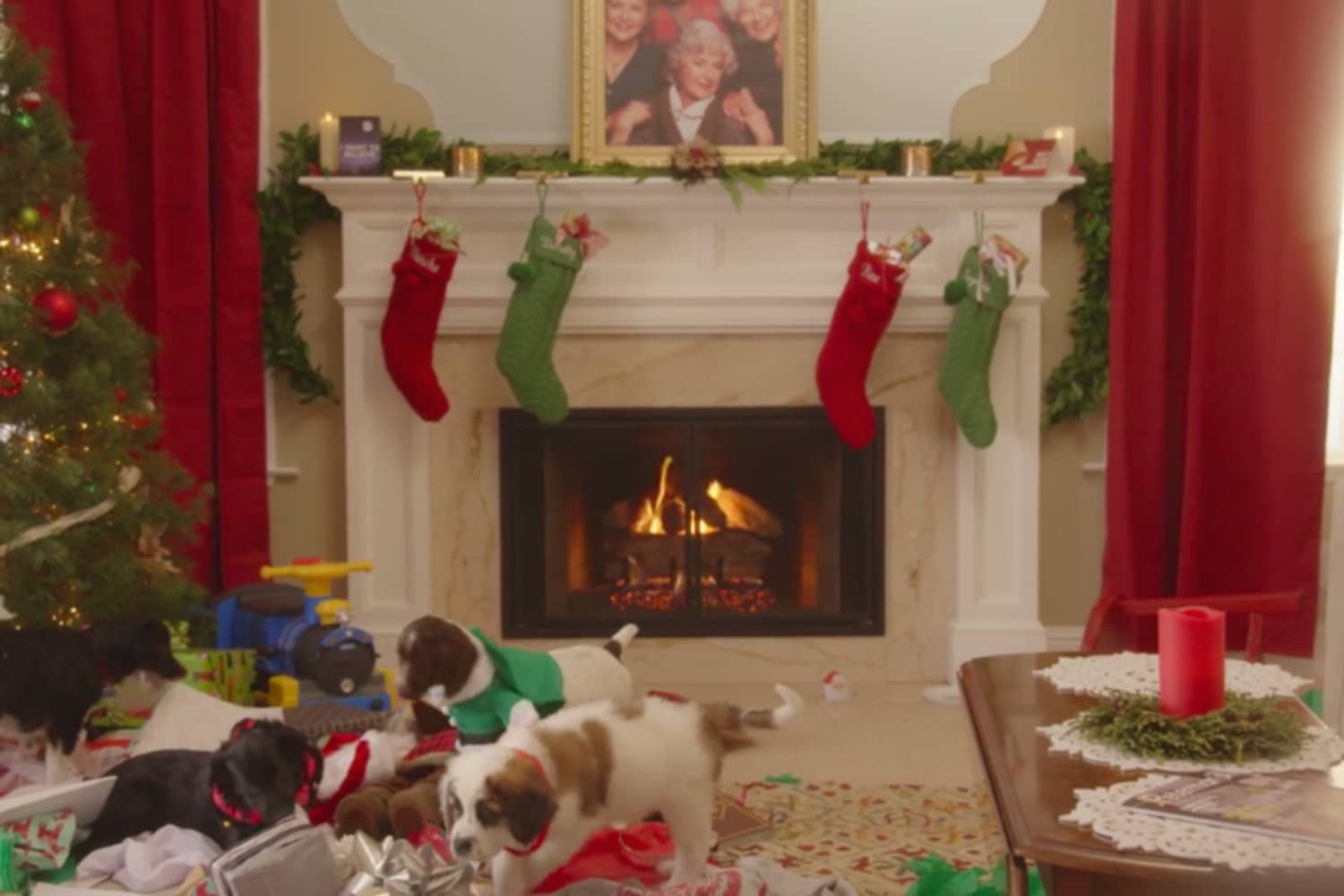 Hulu Puppies Crash Christmas Yule Log 2017 Apartment Therapy
