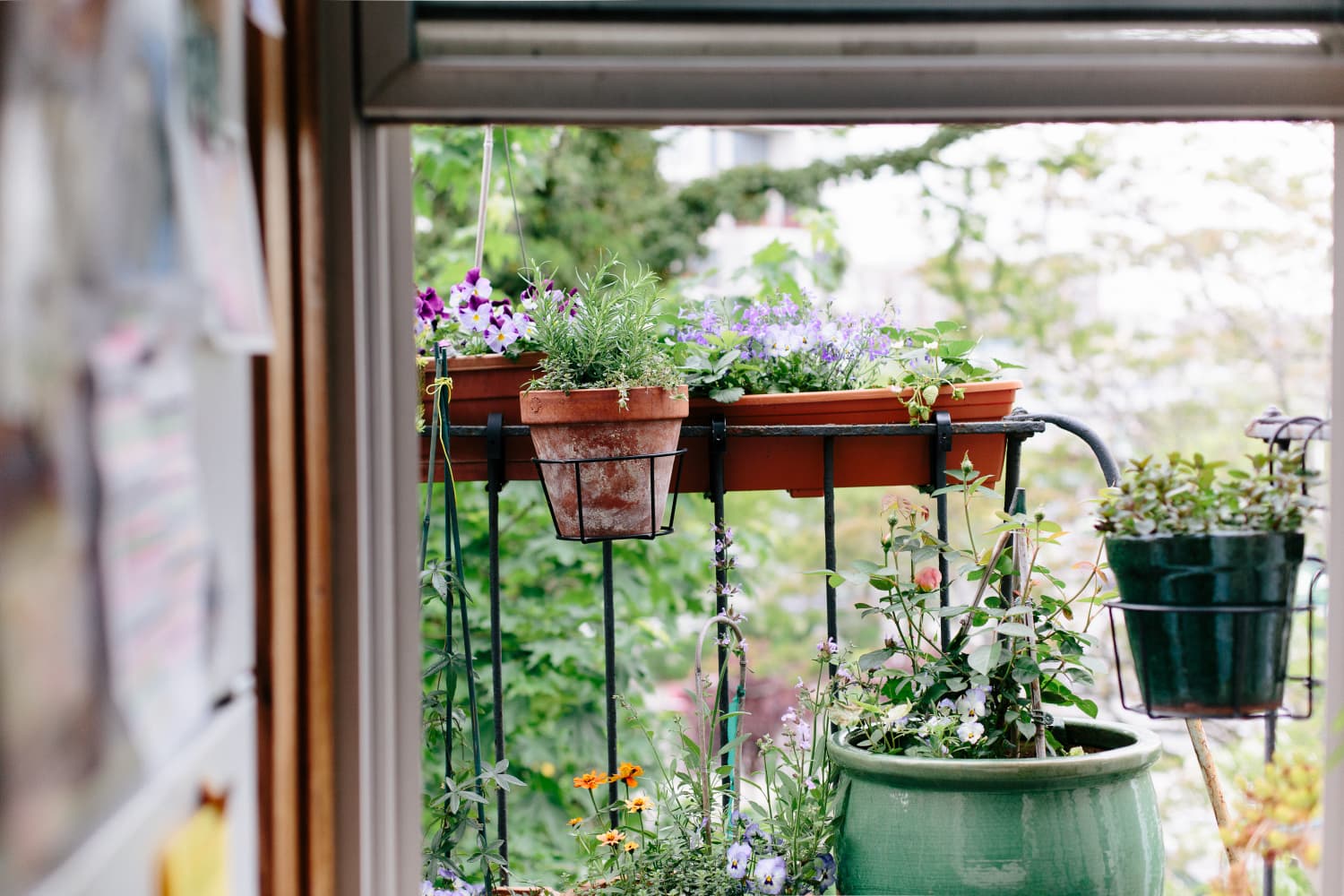 Flower Pot Wall Clips Hanging Plant Decorating Ideas Apartment Therapy