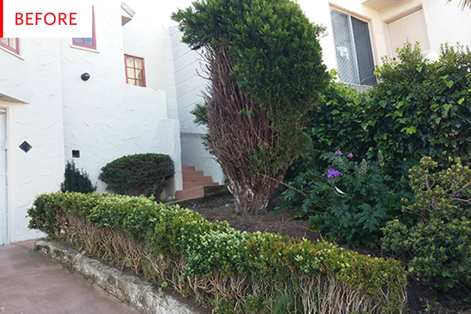 Front Yard Landscaping Ideas - Curb Appeal Before After | Apartment Therapy