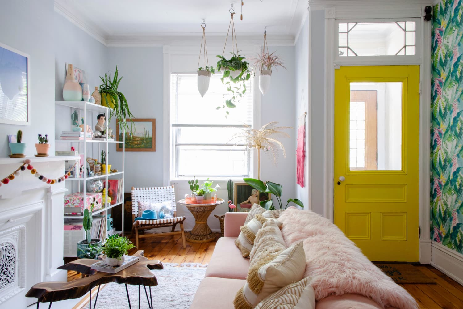 Best Photogenic Indoor House Plants Apartment Therapy