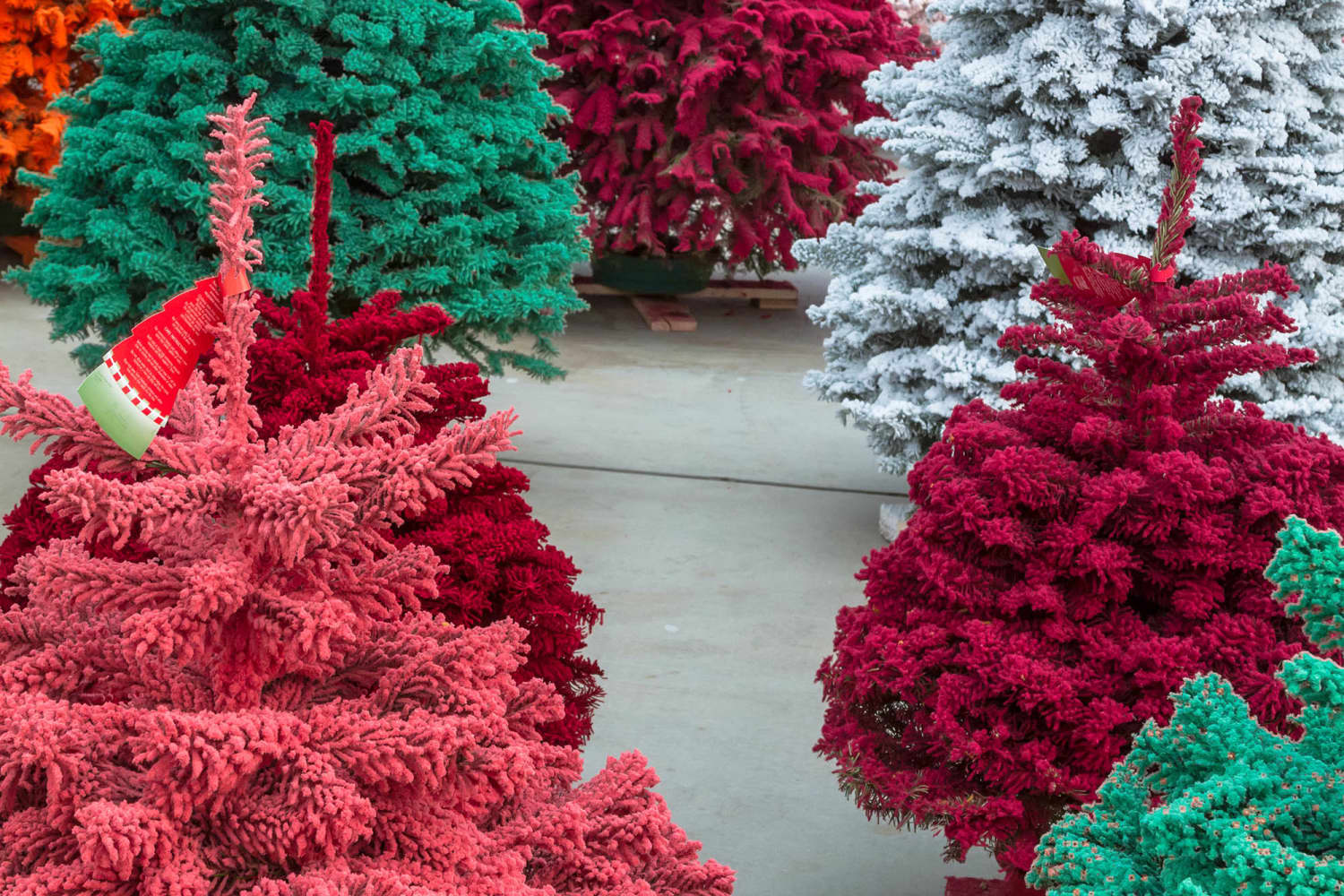 Are Real or Fake Christmas Trees Better for the Environment