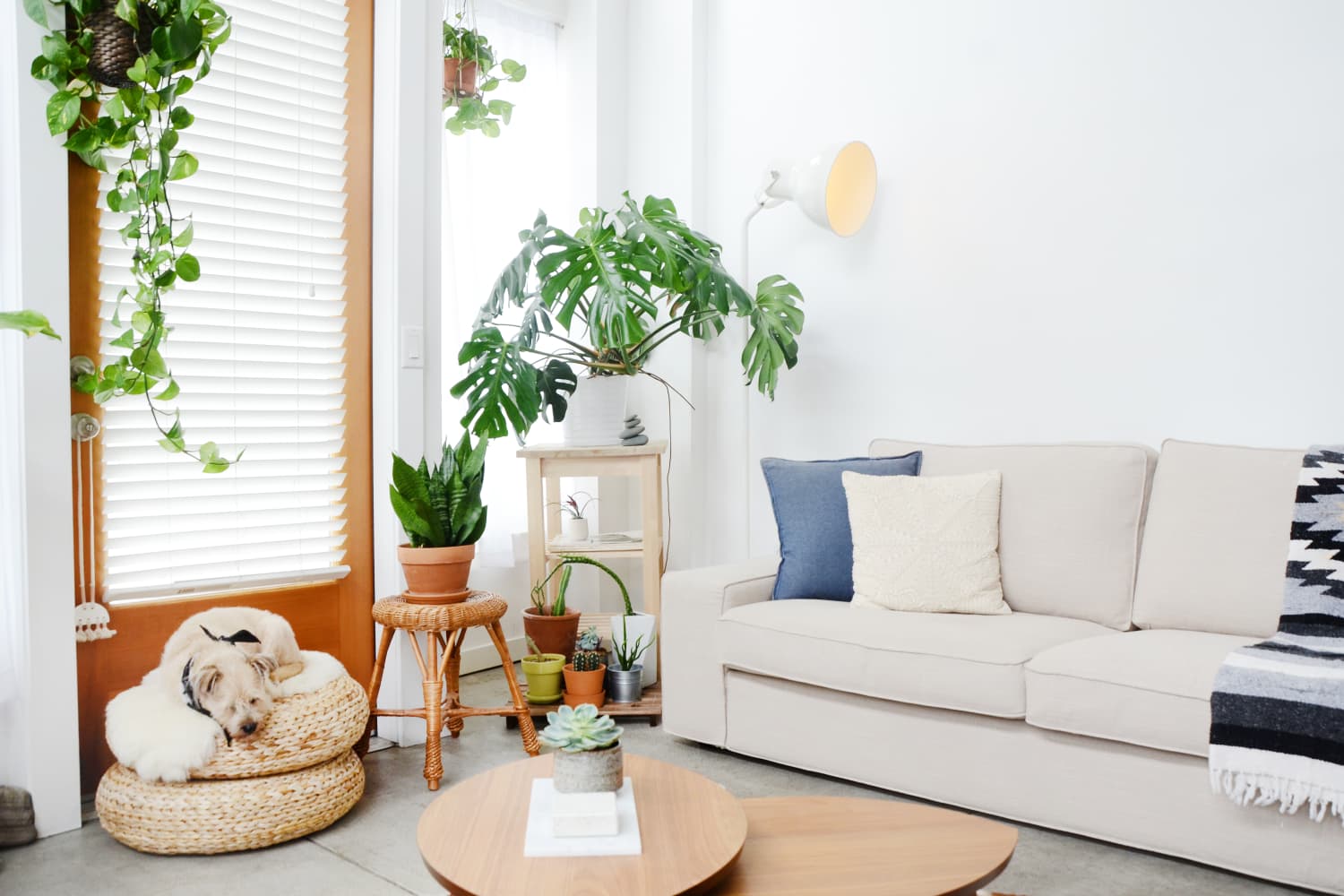 West Elm Henry Sofa Review Apartment Therapy