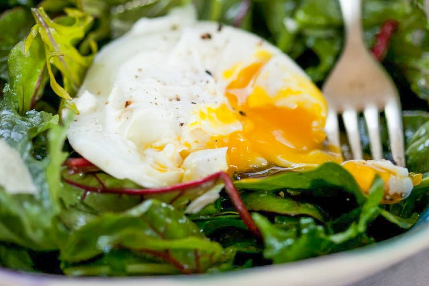 PoachPod Silicone Egg Poachers The Kitchn