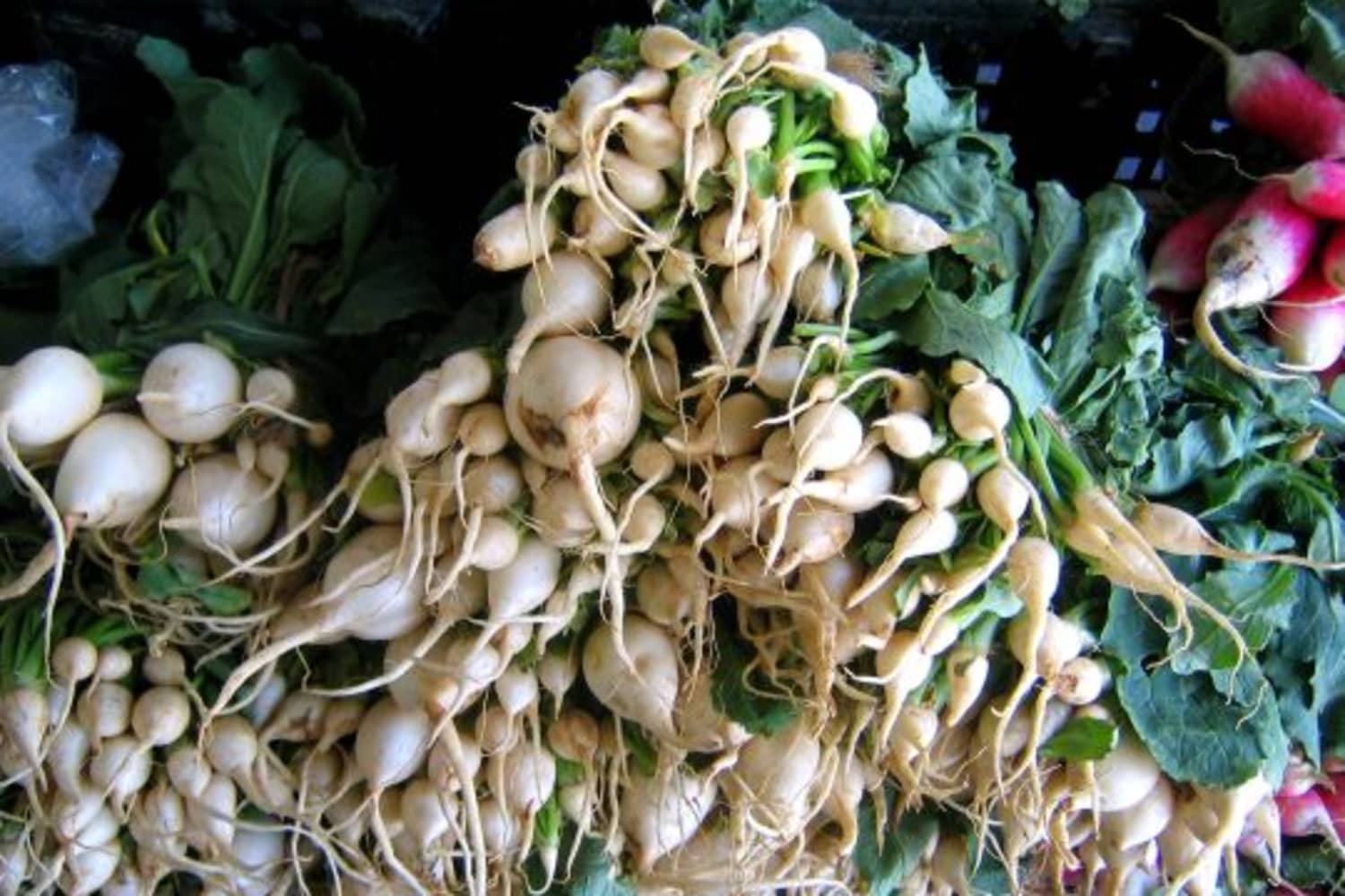 NYC Market Find: Japanese Turnips | Kitchn