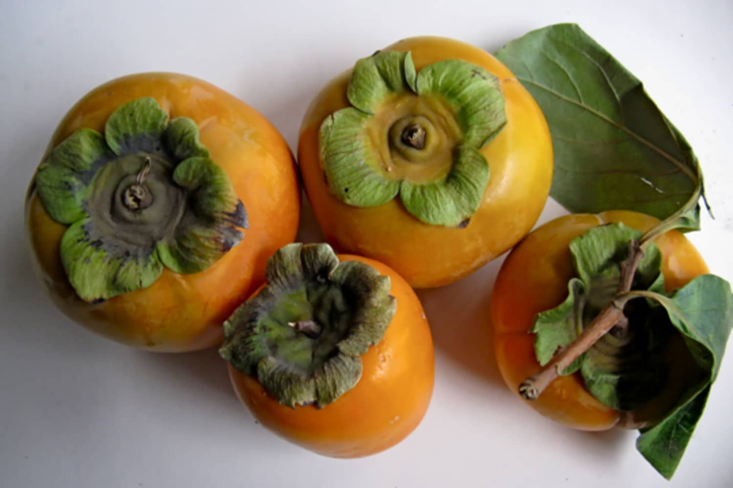 Snack Recipe: Persimmon Fruit Leather | The Kitchn