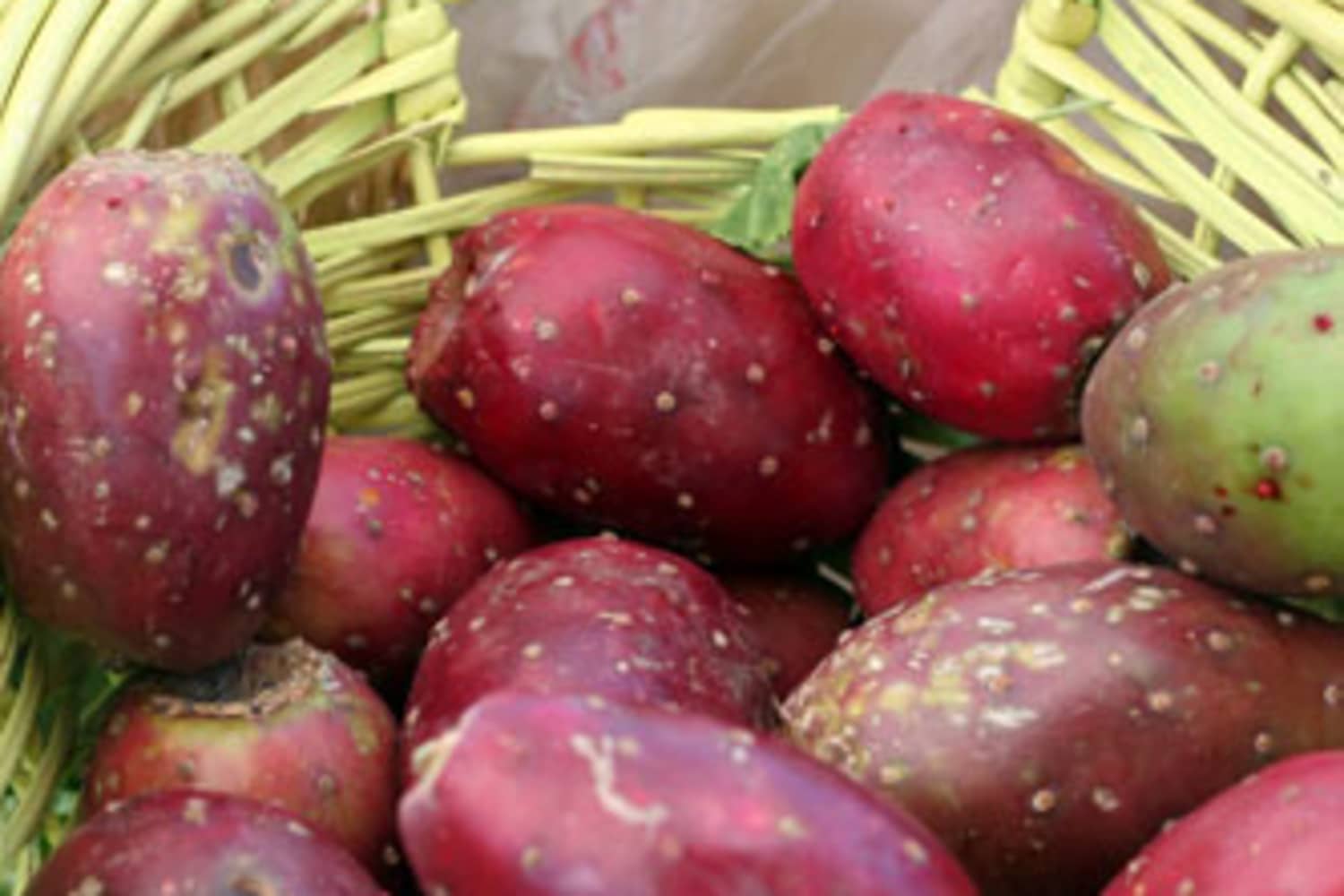 Seasonal Spotlight Prickly Pear Fruit The Kitchn