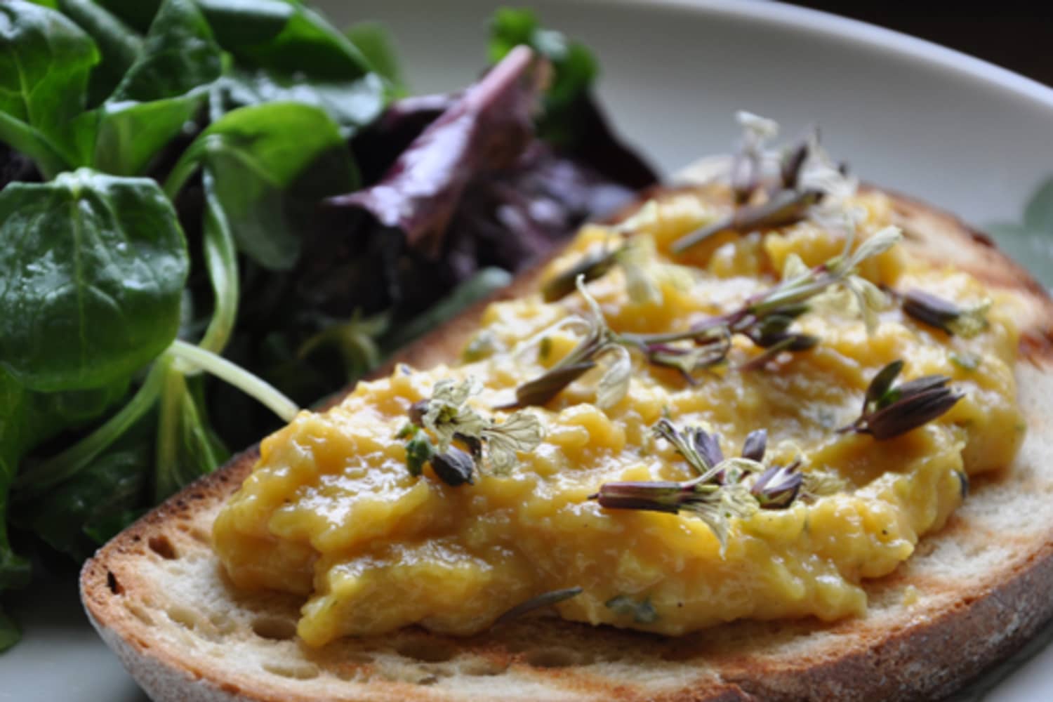 Seasonal Spotlight: Arugula Blossoms | The Kitchn