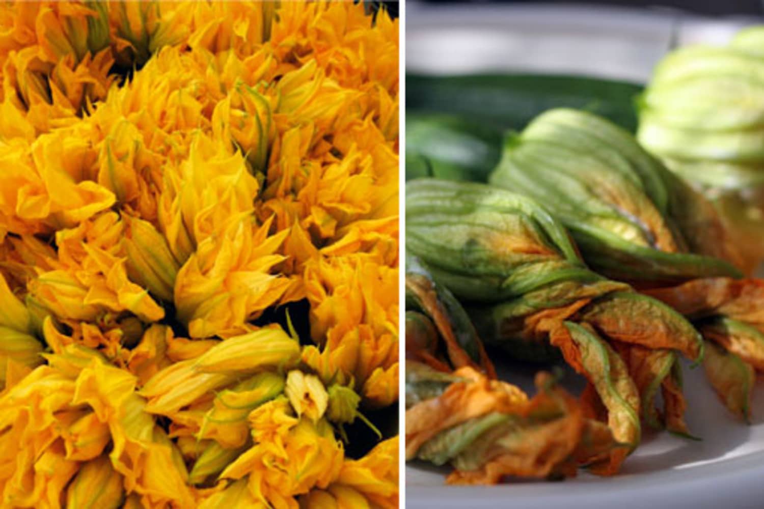 Five Ways to Eat Squash Blossoms Kitchn