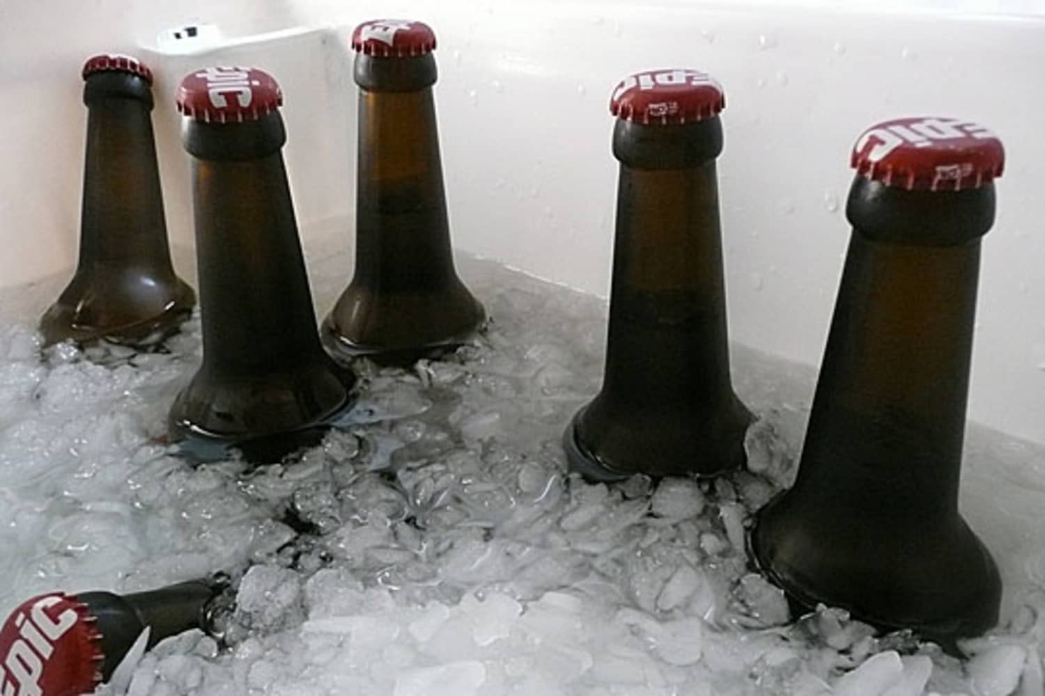 How Cold Should Beer Be Served Beer Guide The Kitchn