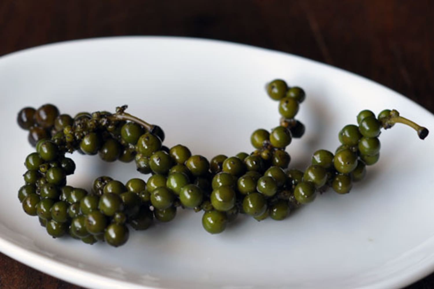 Ingredient Spotlight Green Peppercorns in Brine Kitchn