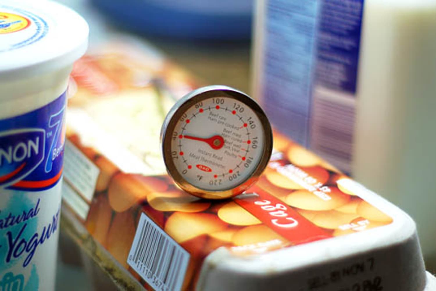 Does Your Fridge Have a Fever? Check Its Temperature! The Kitchn