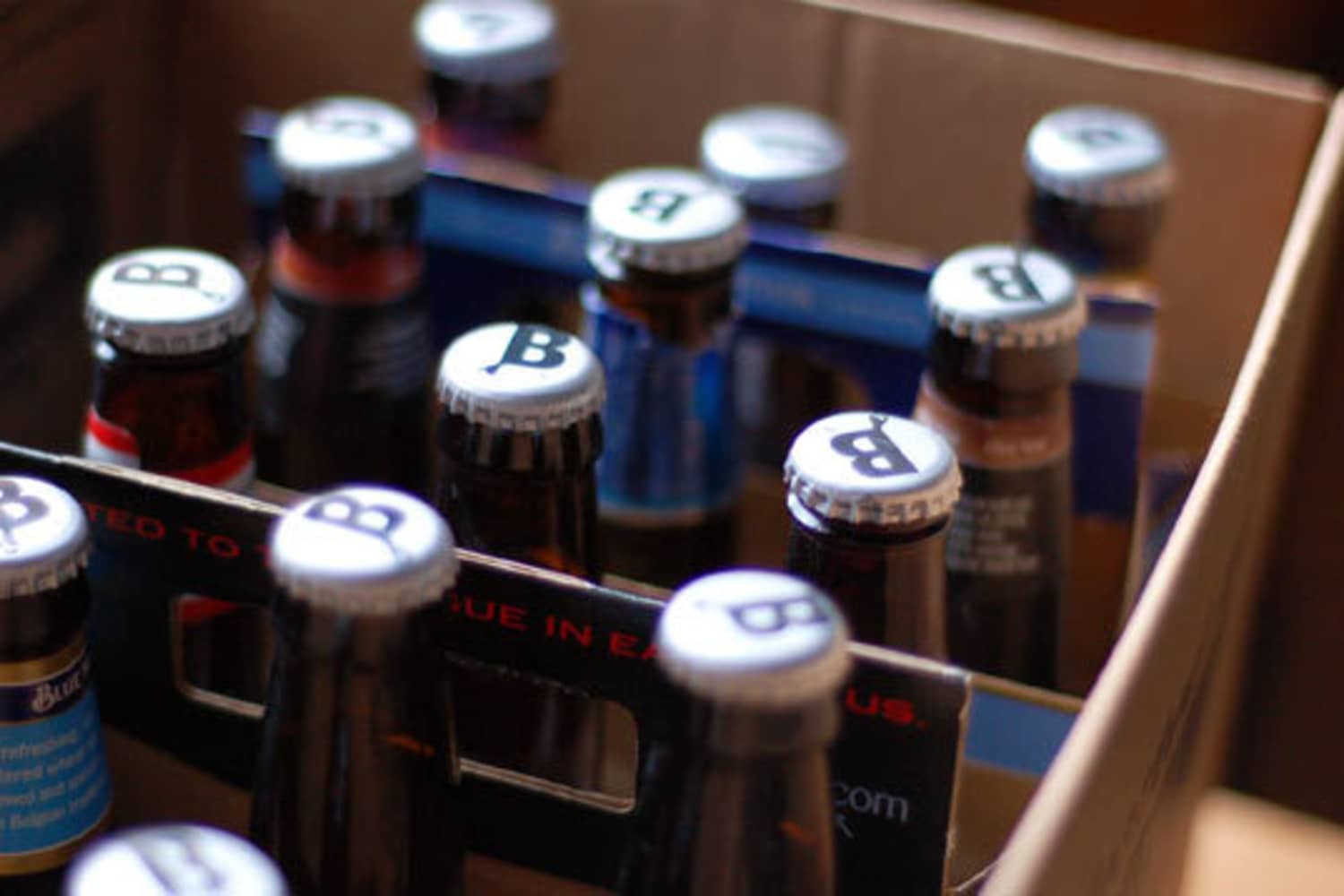 Homebrew Kit Review Brewer’s Best Imperial Pale Ale Beer Sessions Kitchn