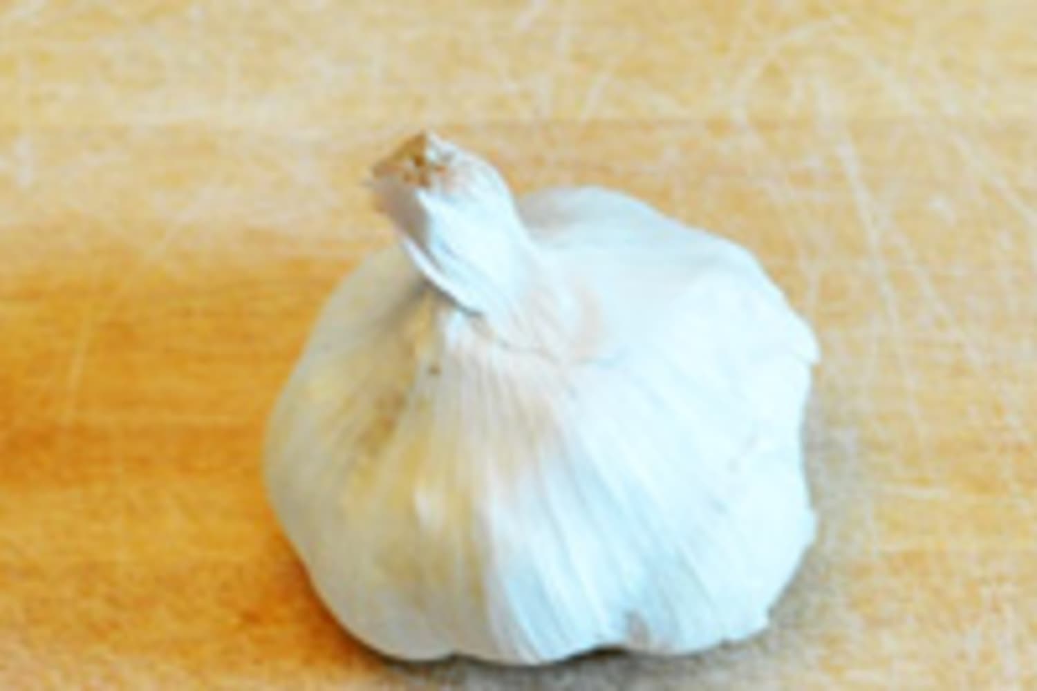 How to Tell If Your Fresh Garlic Has Gone Bad The Kitchn