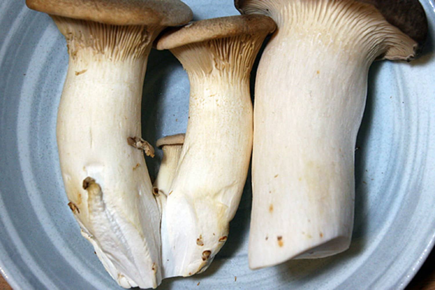Ingredient Spotlight King Trumpet Mushrooms The Kitchn