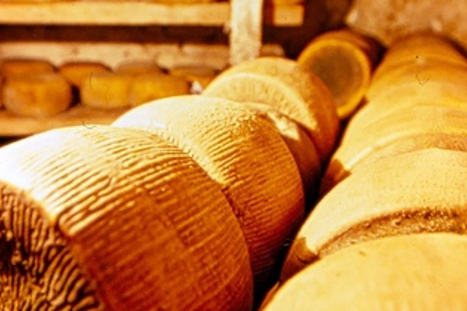 All About Pecorino | The Kitchn