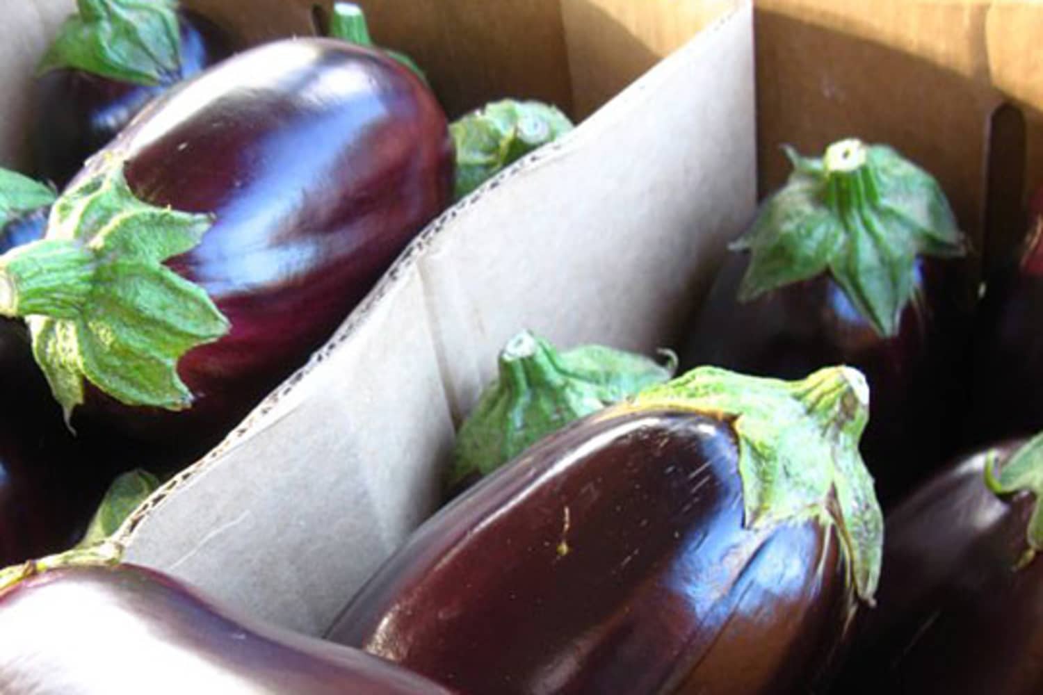 Quick Tip How to Roast Eggplant on the Stove Top The Kitchn