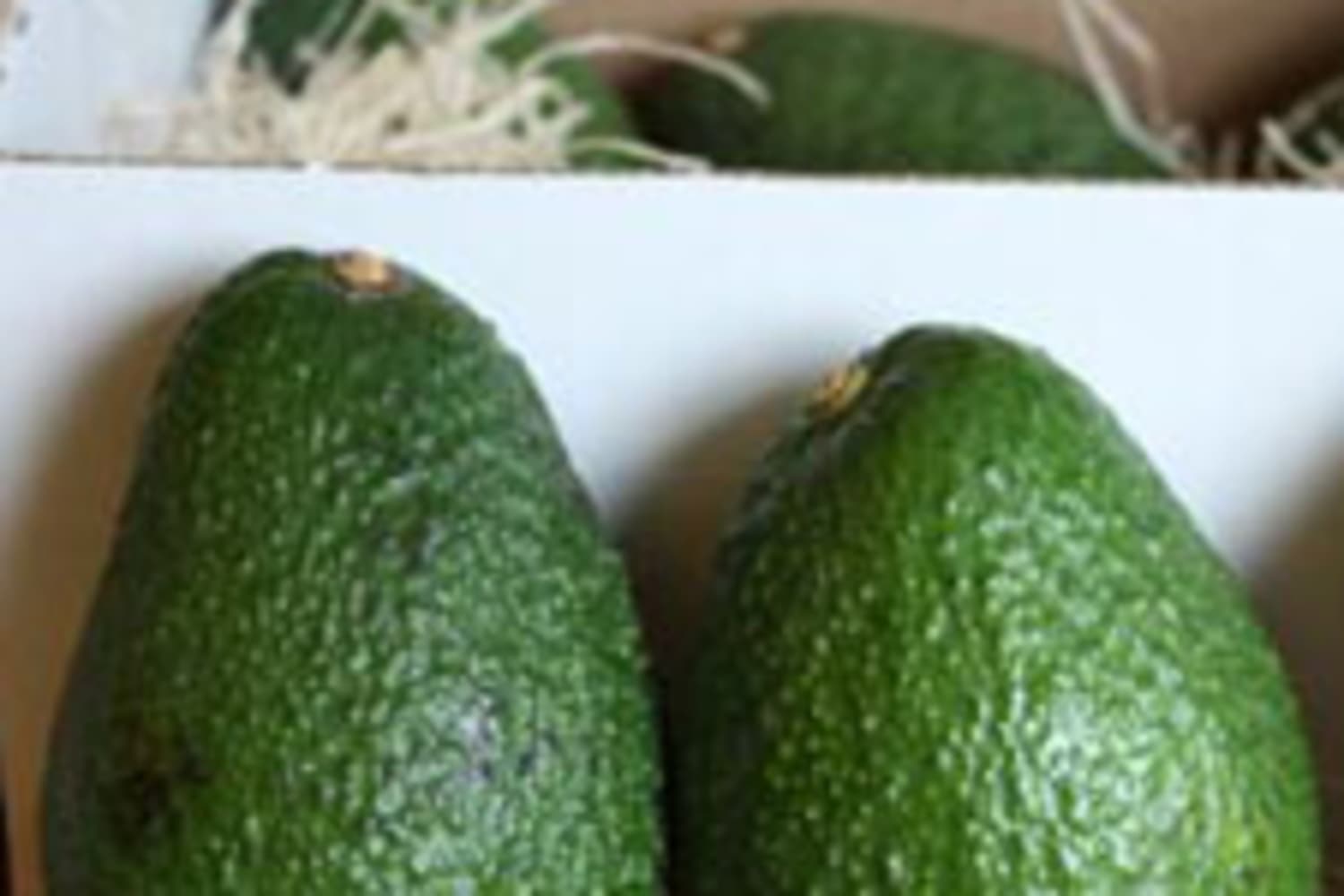 Best Place to Store Avocados? In the Refrigerator The Kitchn