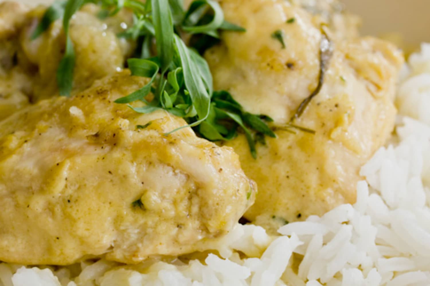 Recipe Tarragon Chicken Fricassee The Kitchn