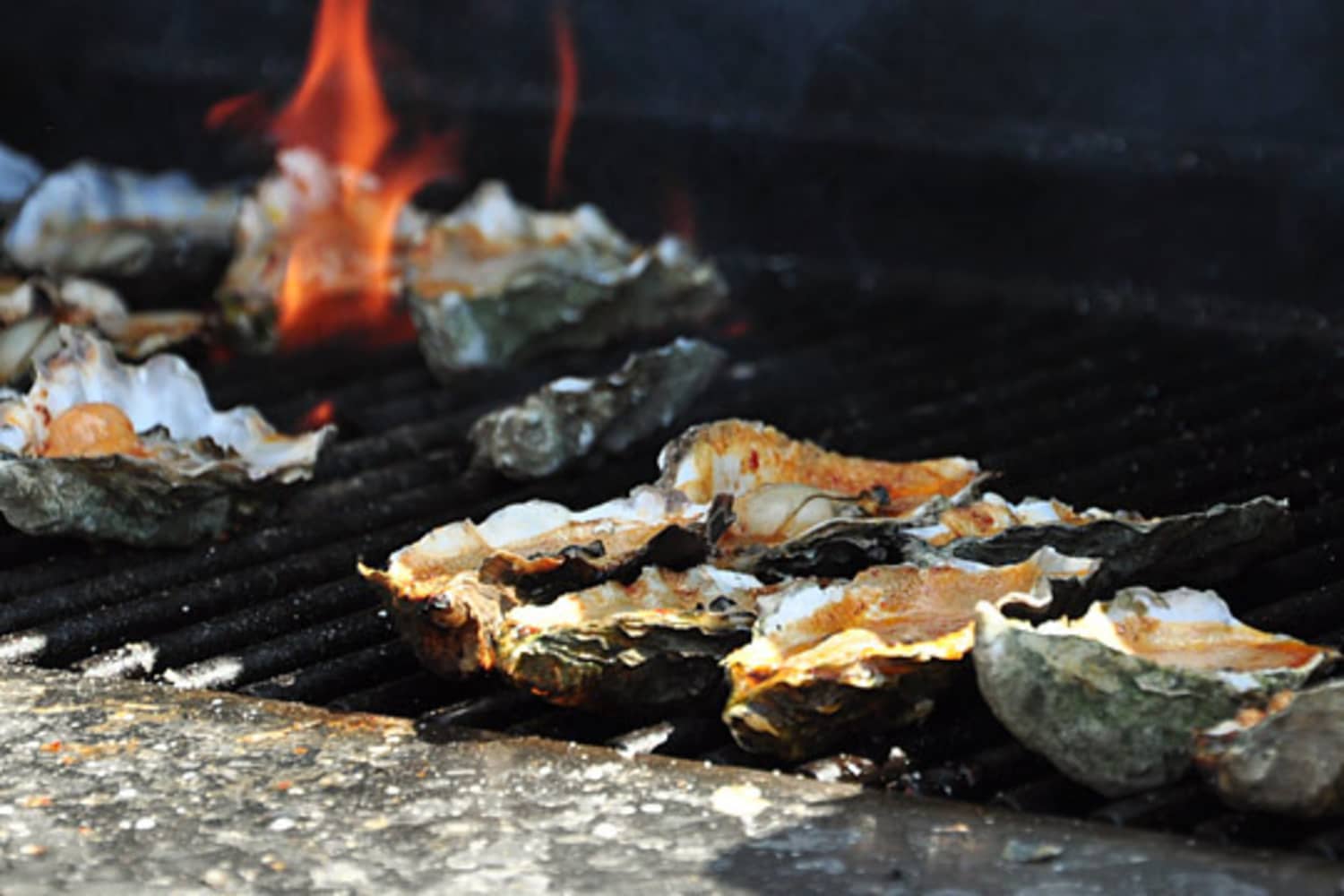 How To Grill Oysters at Home The Kitchn