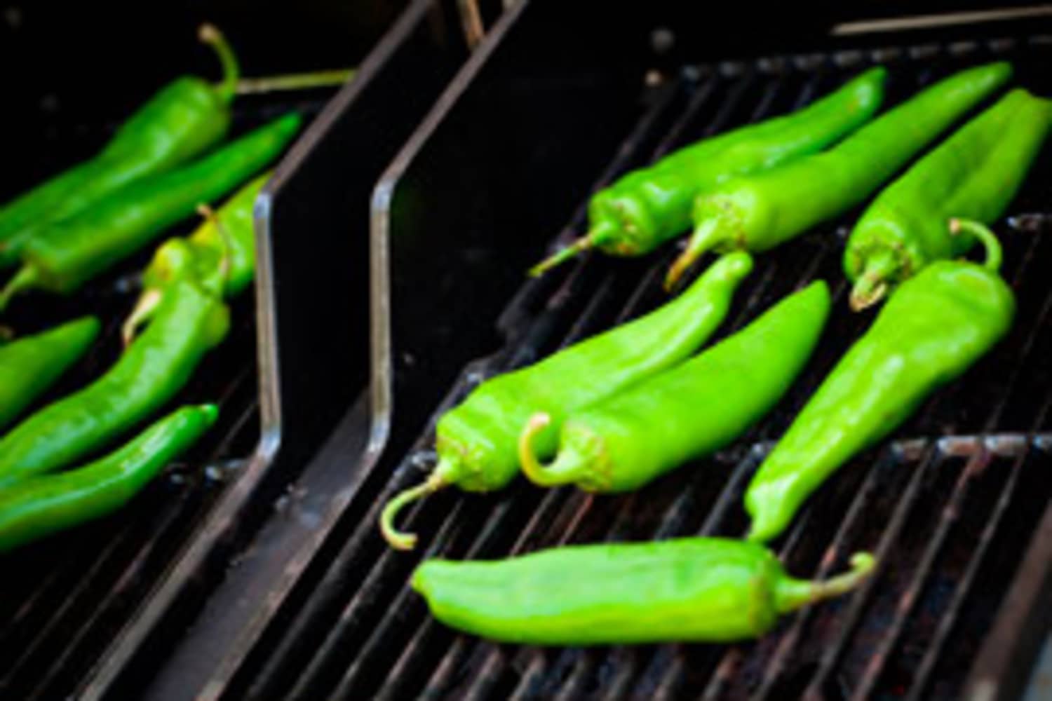 What Can I Make with Hatch Green Chiles? Kitchn