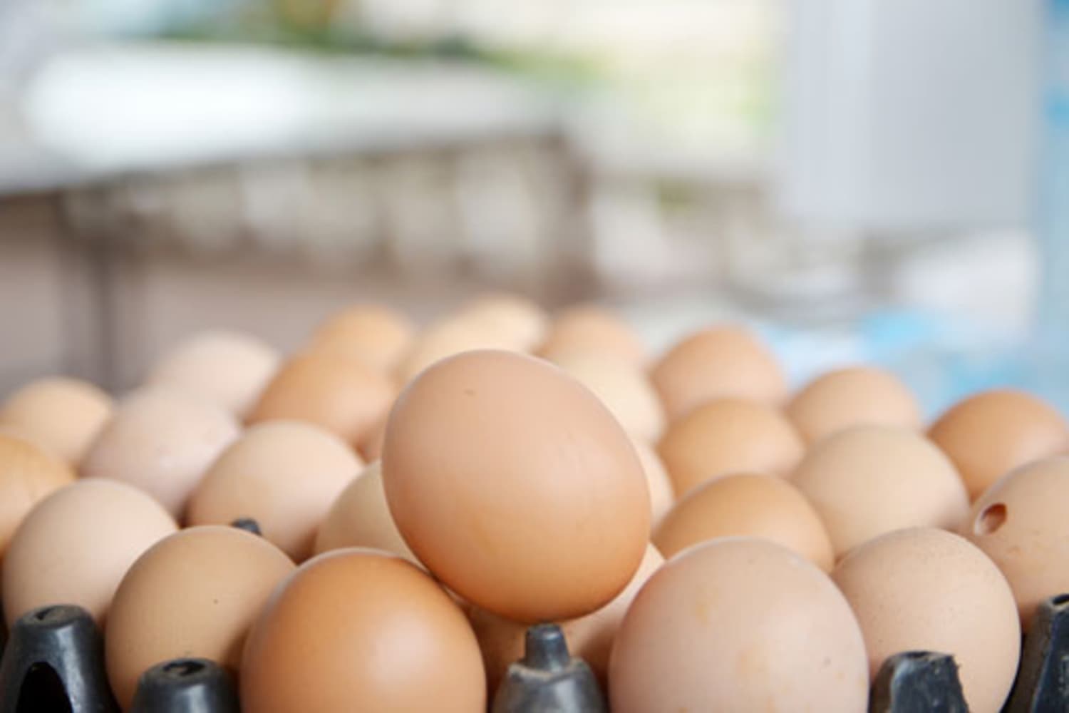 Quick Tip: How to Tell if Eggs Are Good | The Kitchn