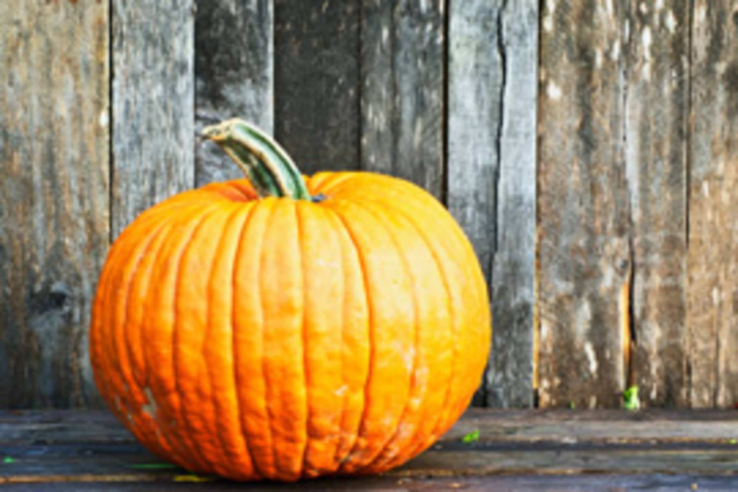 Can I Cook with My Decorative Pumpkins? Kitchn