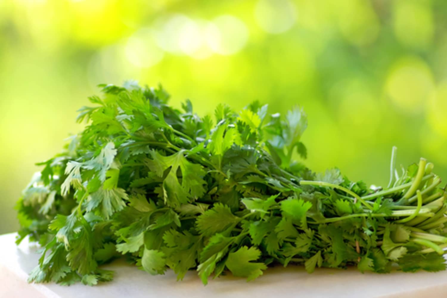 Ideas for Using Up Leftover Cilantro? Kitchn