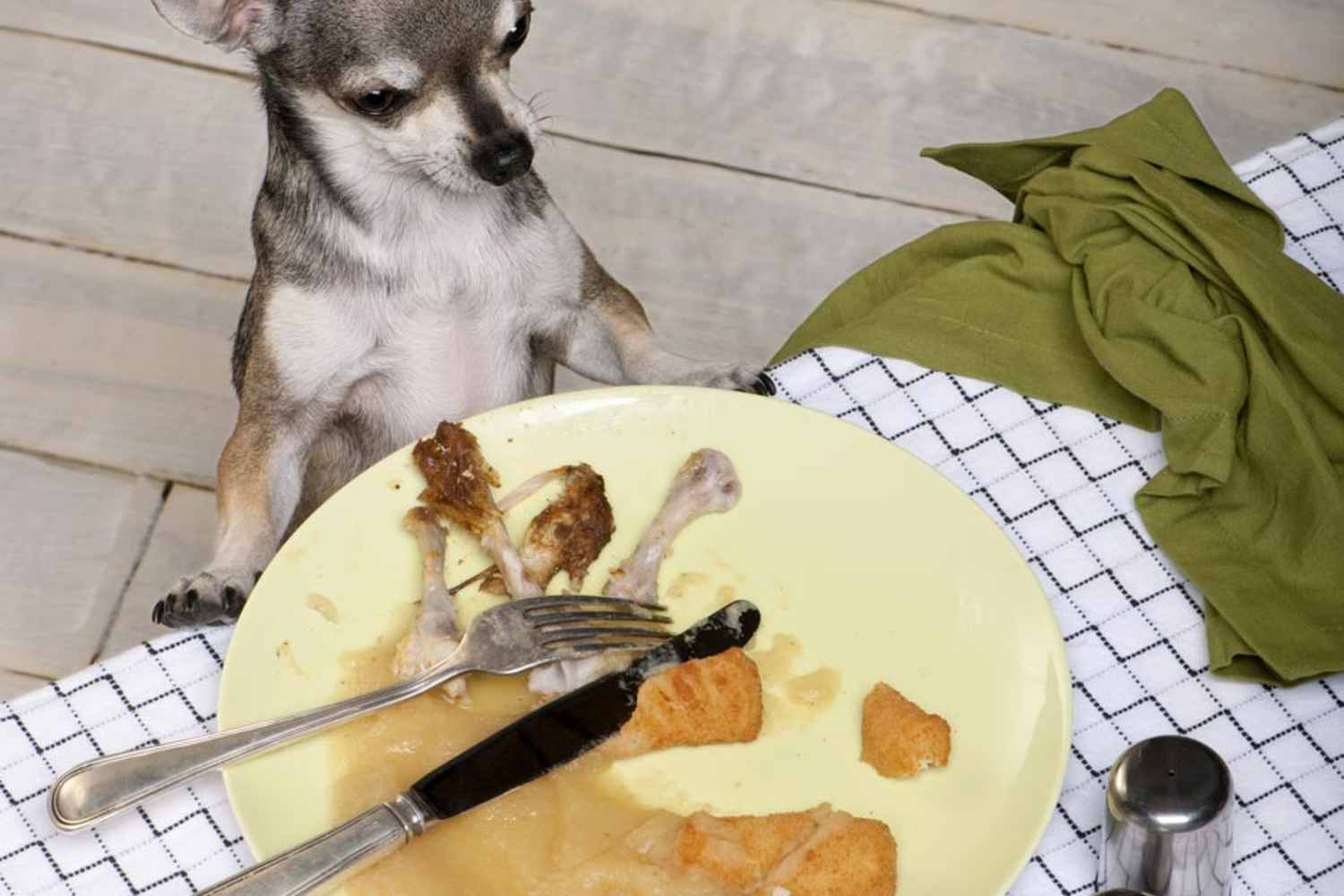 Stunning Feeding Raw To Dogs With Table Scraps And Diabetes image