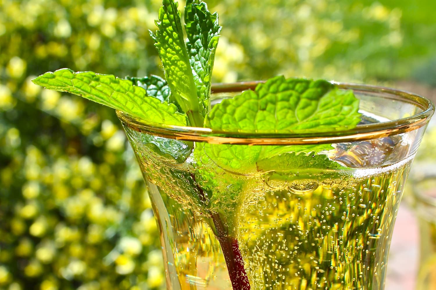 A Toast to Gatsby Champagne Mint Julep The Kitchn